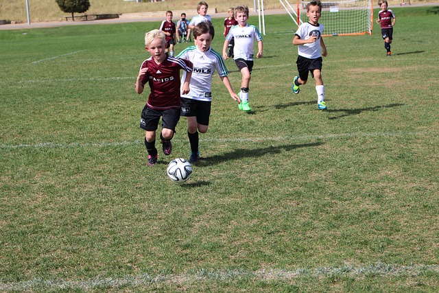 职业态度 职业态度