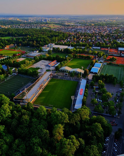 行人的责任 行人的责任