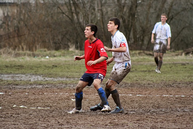 在团队协作 在团队协作