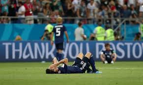 梅里诺不仅 梅里诺不仅