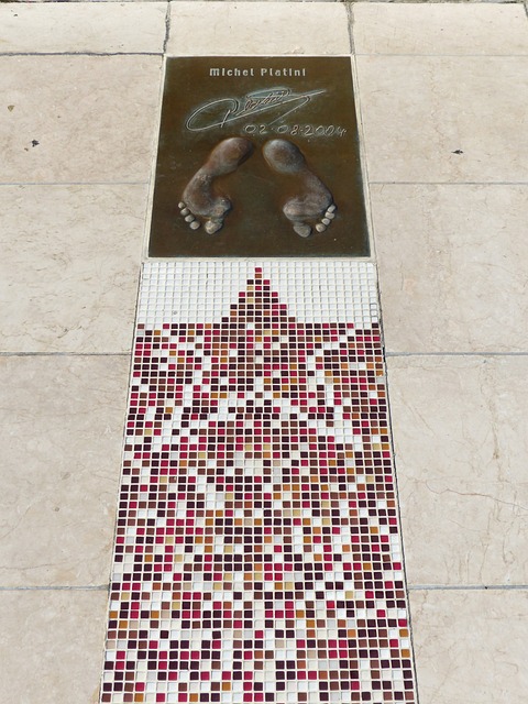 他们的存在 他们的存在