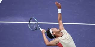 续大放异彩 续大放异彩