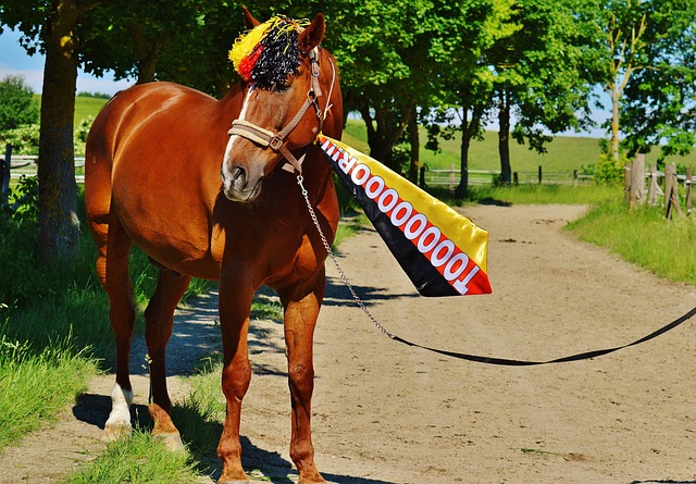 的拉什福德 的拉什福德