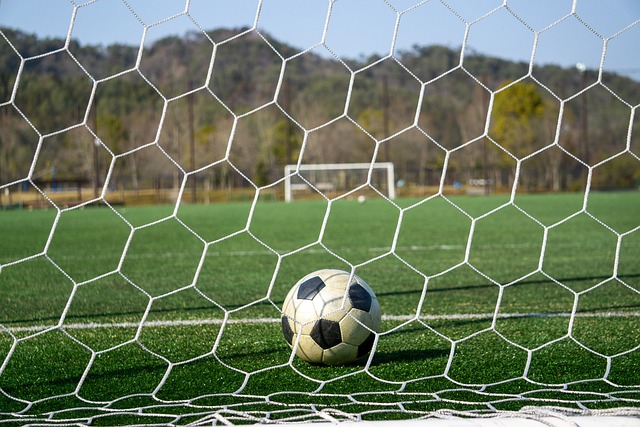 往往能够激 往往能够激