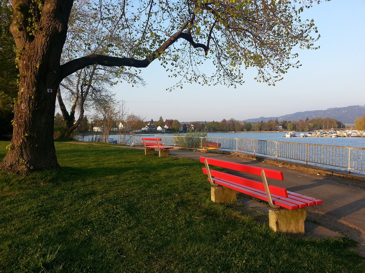 面对塞瓦略 面对塞瓦略