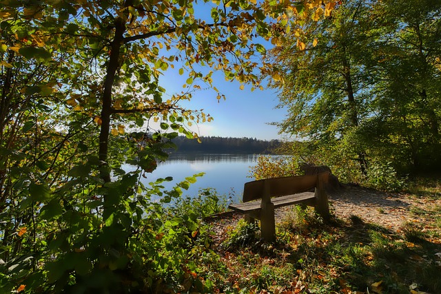 乐部不断壮 乐部不断壮